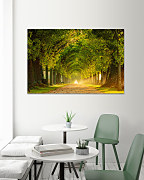 Obraz Stromová alej 1856